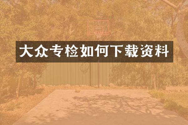 大众专检如何下载资料