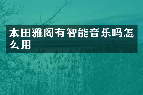 本田雅阁有智能音乐吗怎么用