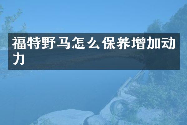福特野马怎么保养增加动力