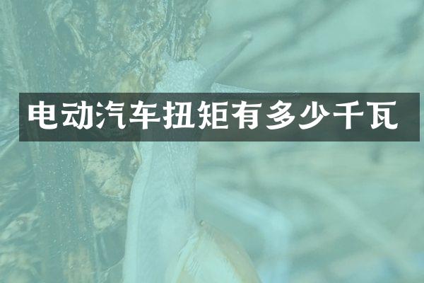 电动汽车扭矩有多少千瓦