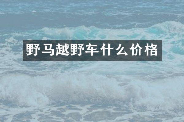 野马越野车什么价格