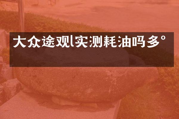 大众途观l实测耗油吗多少