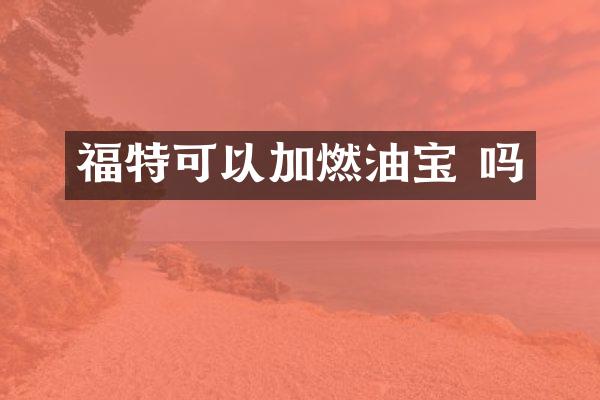 福特可以加燃油宝 吗