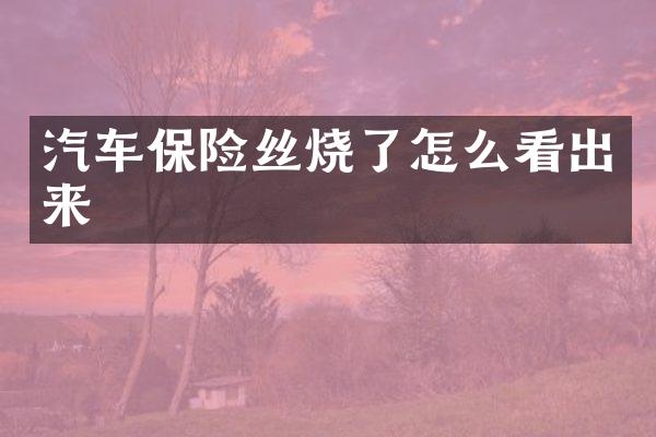 汽车保险丝烧了怎么看出来