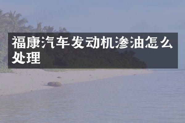 福康汽车发动机渗油怎么处理