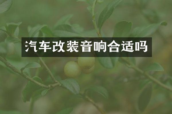汽车改装音响合适吗