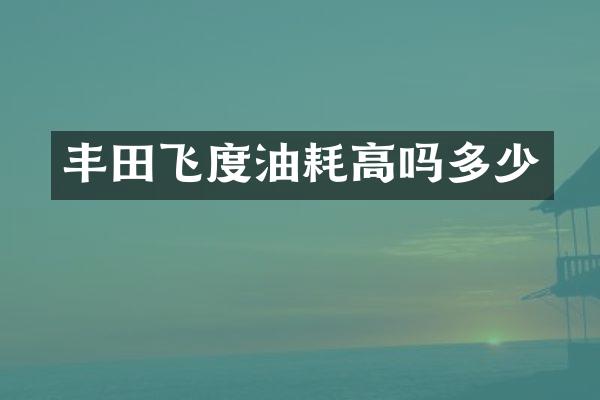 丰田飞度油耗高吗多少