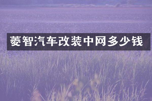 菱智汽车改装中网多少钱