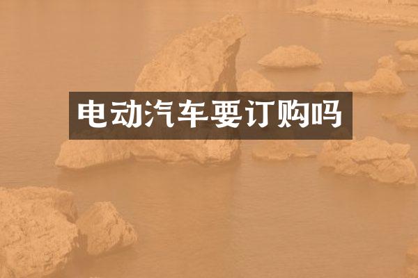 电动汽车要订购吗