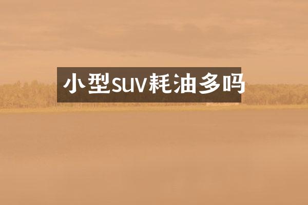 小型suv耗油多吗