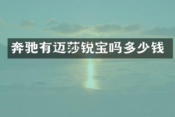 奔驰有迈莎锐宝吗多少钱
