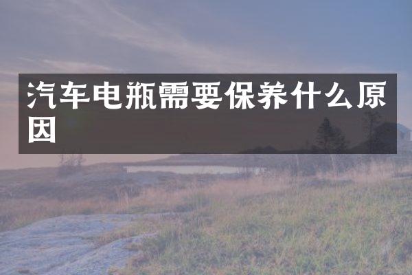 汽车电瓶需要保养什么原因