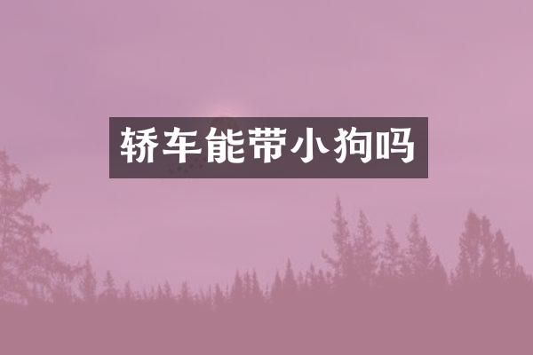 轿车能带小狗吗