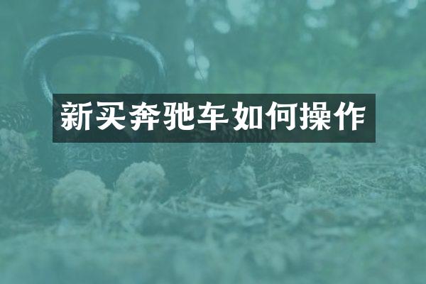 新买奔驰车如作