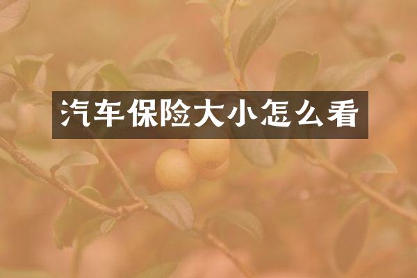 汽车保险大小怎么看