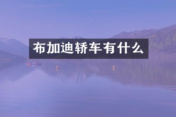 布加迪轿车有什么