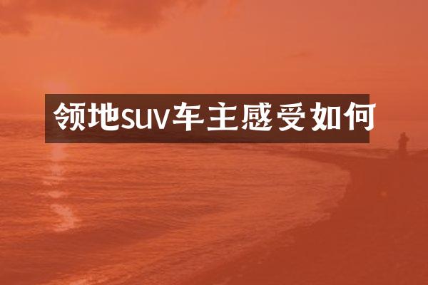 领地suv车主感受如何