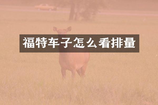 福特车子怎么看排量