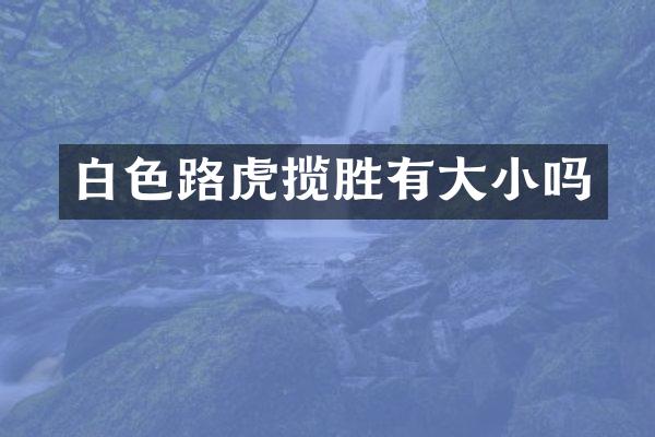 白色路虎揽胜有大小吗