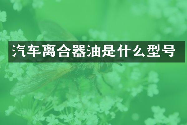 汽车离合器油是什么型号