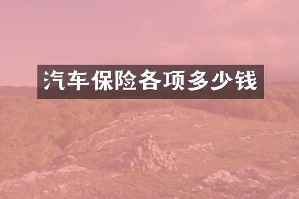 汽车保险各项多少钱
