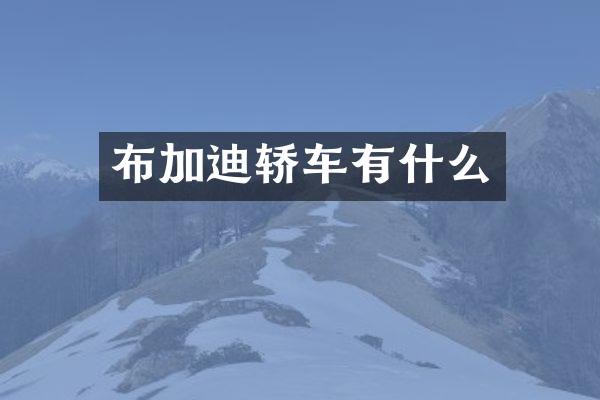 布加迪轿车有什么