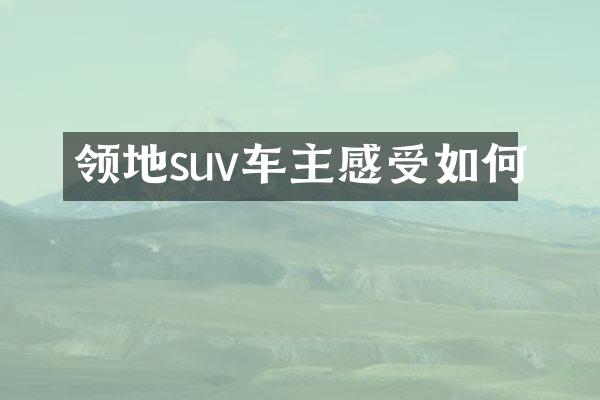 领地suv车主感受如何
