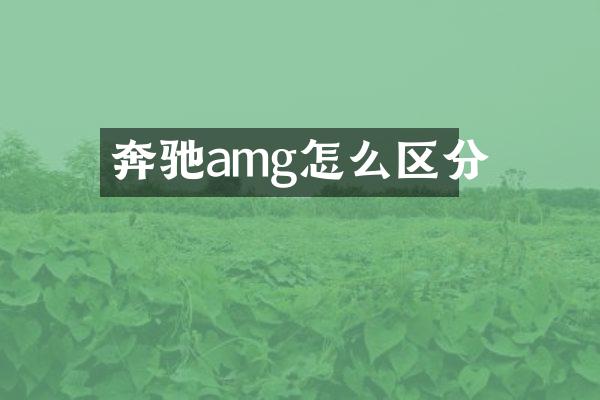 奔驰amg怎么区分