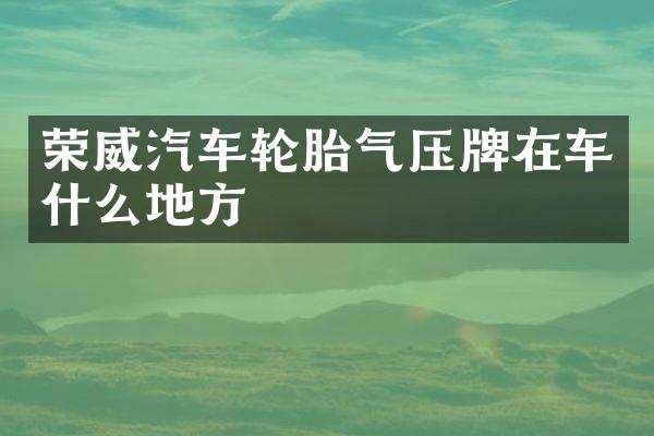 荣威汽车轮胎气压牌在车什么地方