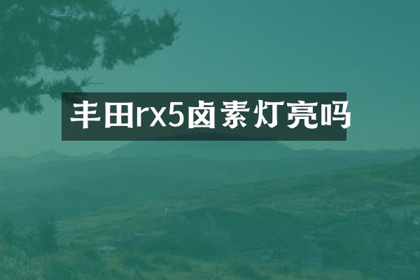 丰田rx5卤素灯亮吗