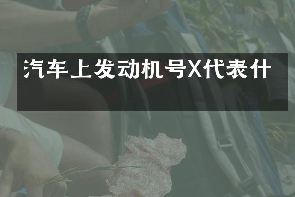 汽车上发动机号X代表什么