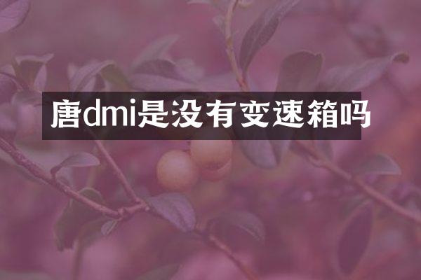 唐dmi是没有变速箱吗