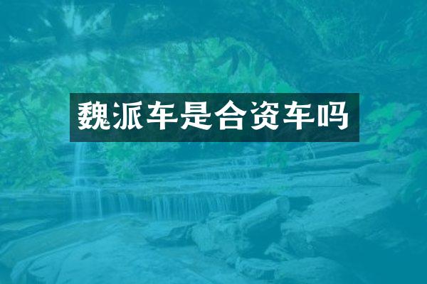 魏派车是合资车吗