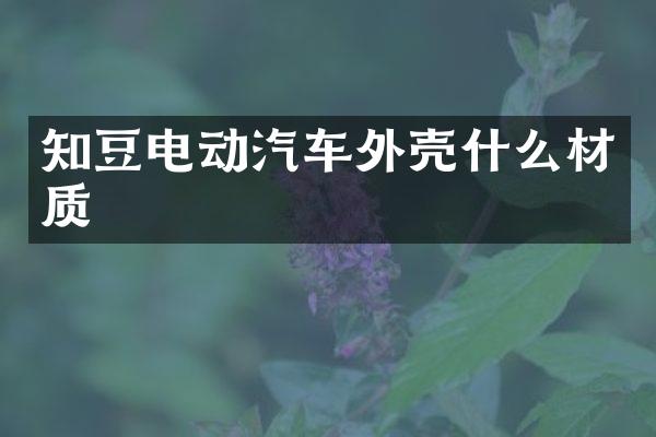 知豆电动汽车外壳什么材质