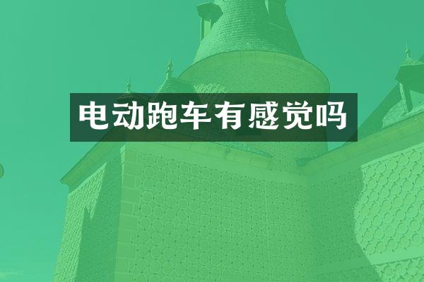 电动跑车有感觉吗