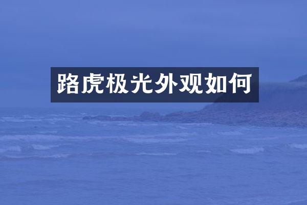 路虎极光外观如何