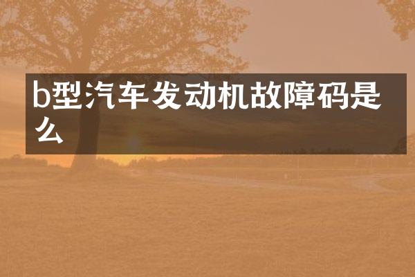 b型汽车发动机故障码是什么