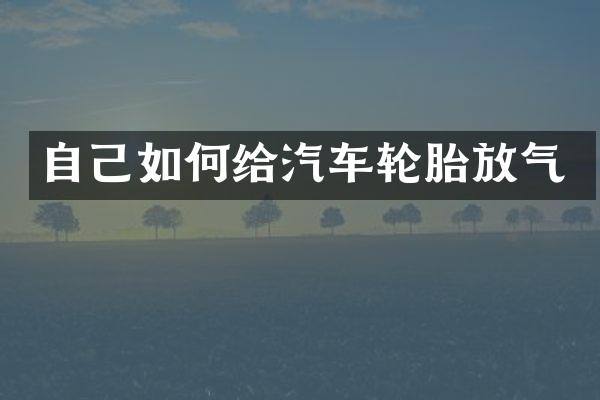 自己如何给汽车轮胎放气