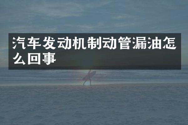 汽车发动机制动管漏油怎么回事