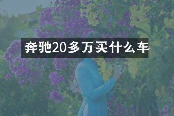 奔驰20多万车