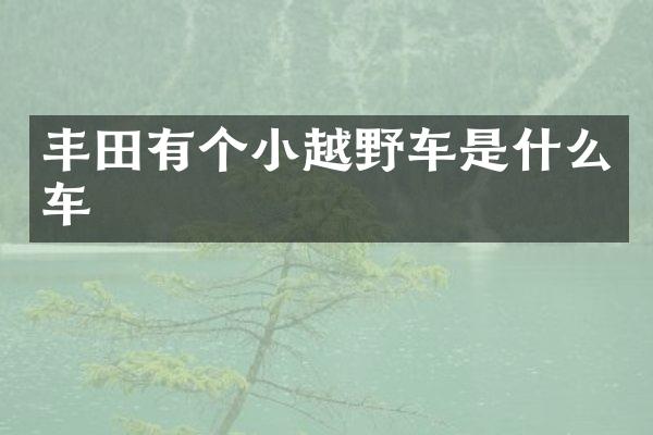 丰田有个小越野车是什么车