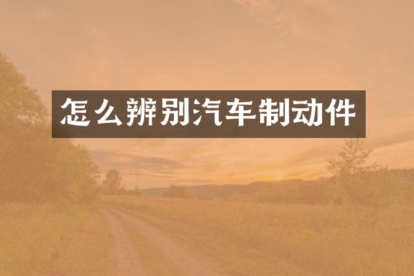 怎么辨别汽车制动件