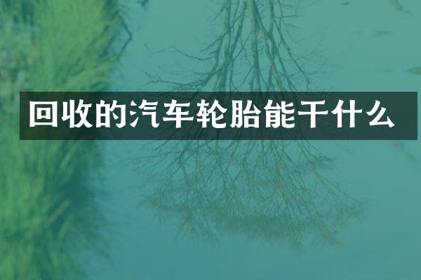 回收的汽车轮胎能干什么