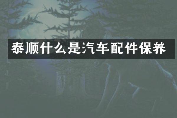 泰顺什么是汽车配件保养