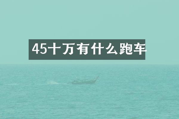 45十万有什么跑车