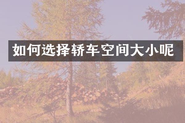 如何选择轿车空间大小呢