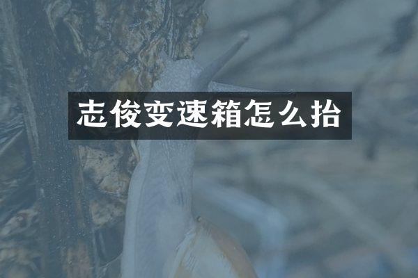 志俊变速箱怎么抬