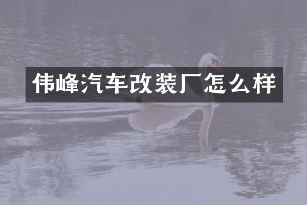 伟峰汽车改装厂怎么样