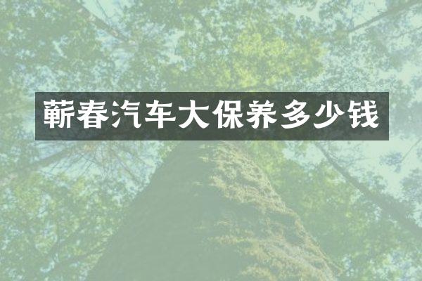 蕲春汽车大保养多少钱