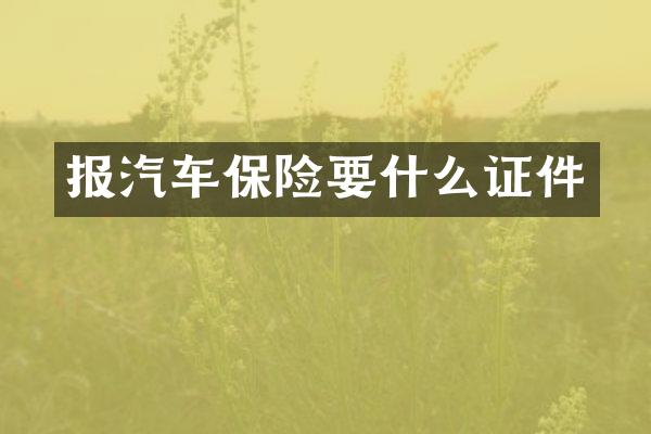 报汽车保险要什么证件